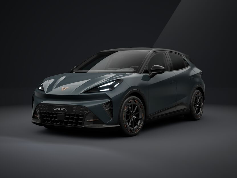 Obrázek Raval VZ 55,2 kWh/225k