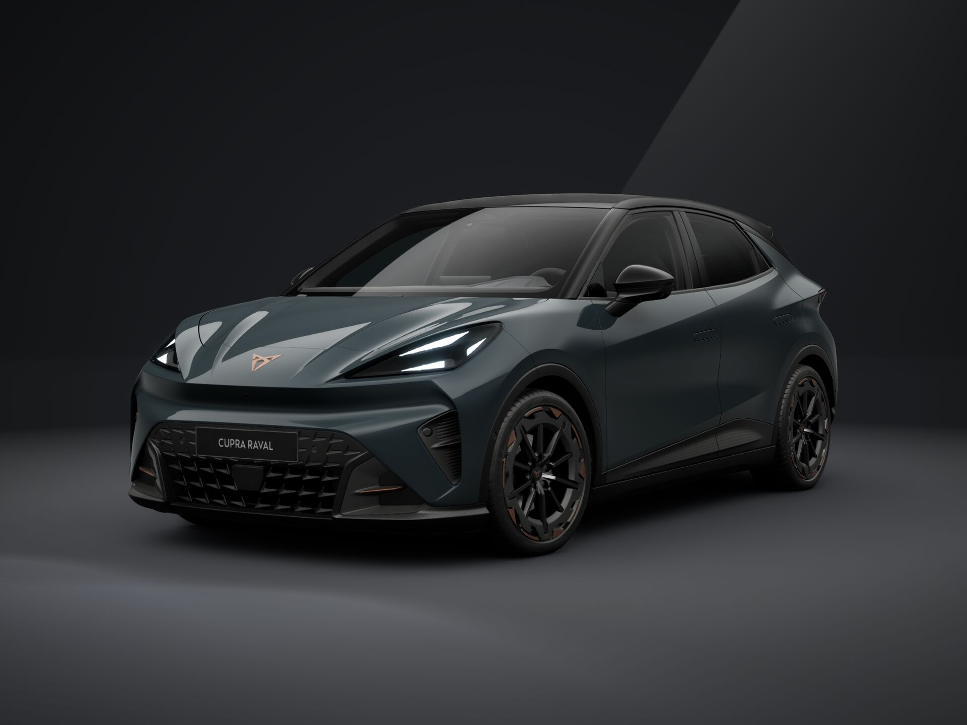 Obrázek Raval VZ 55,2 kWh/225k