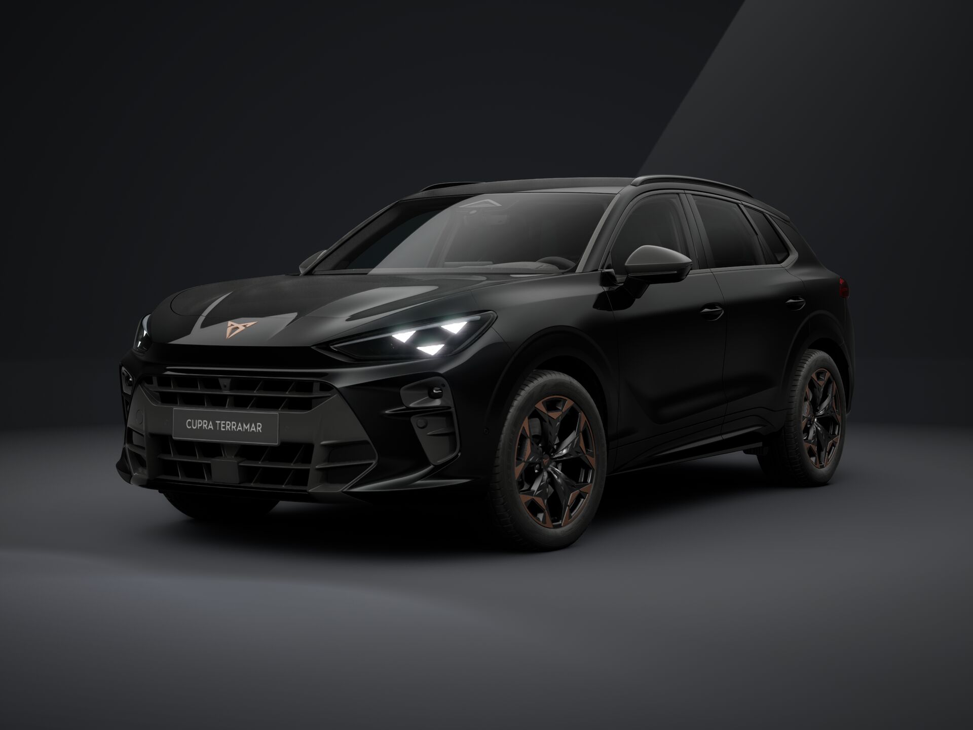 Obrázek Terramar 2.0 TSI 204k DSG 4WD