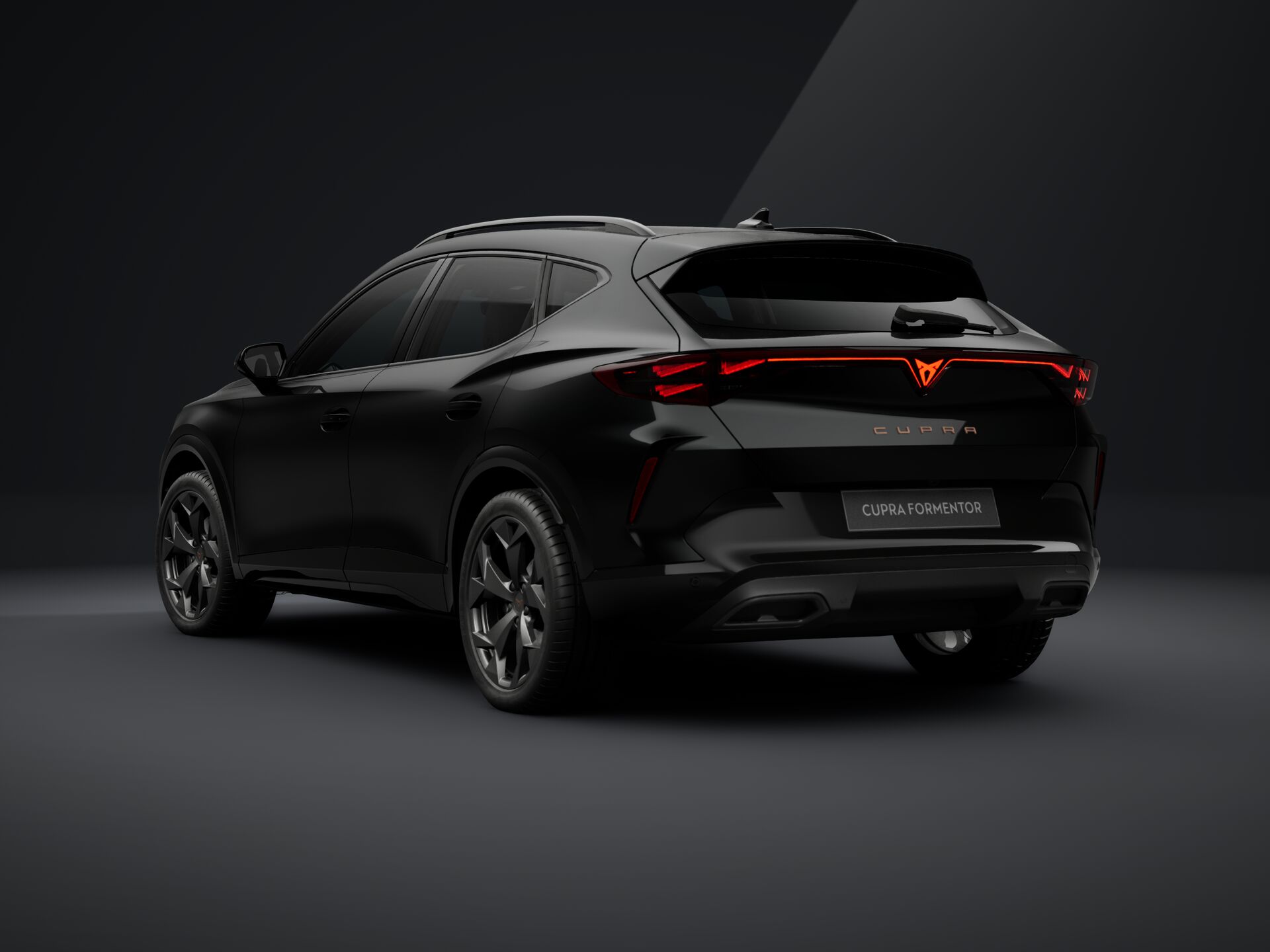 Obrázek Formentor 2.0 TSI 204k DSG 4WD