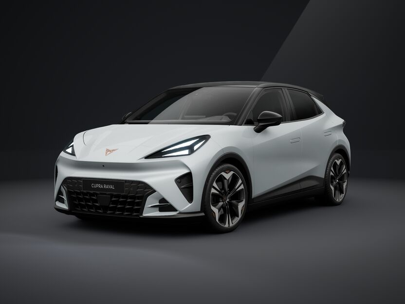 Obrázek Raval PLUS 38,5 kWh/135k