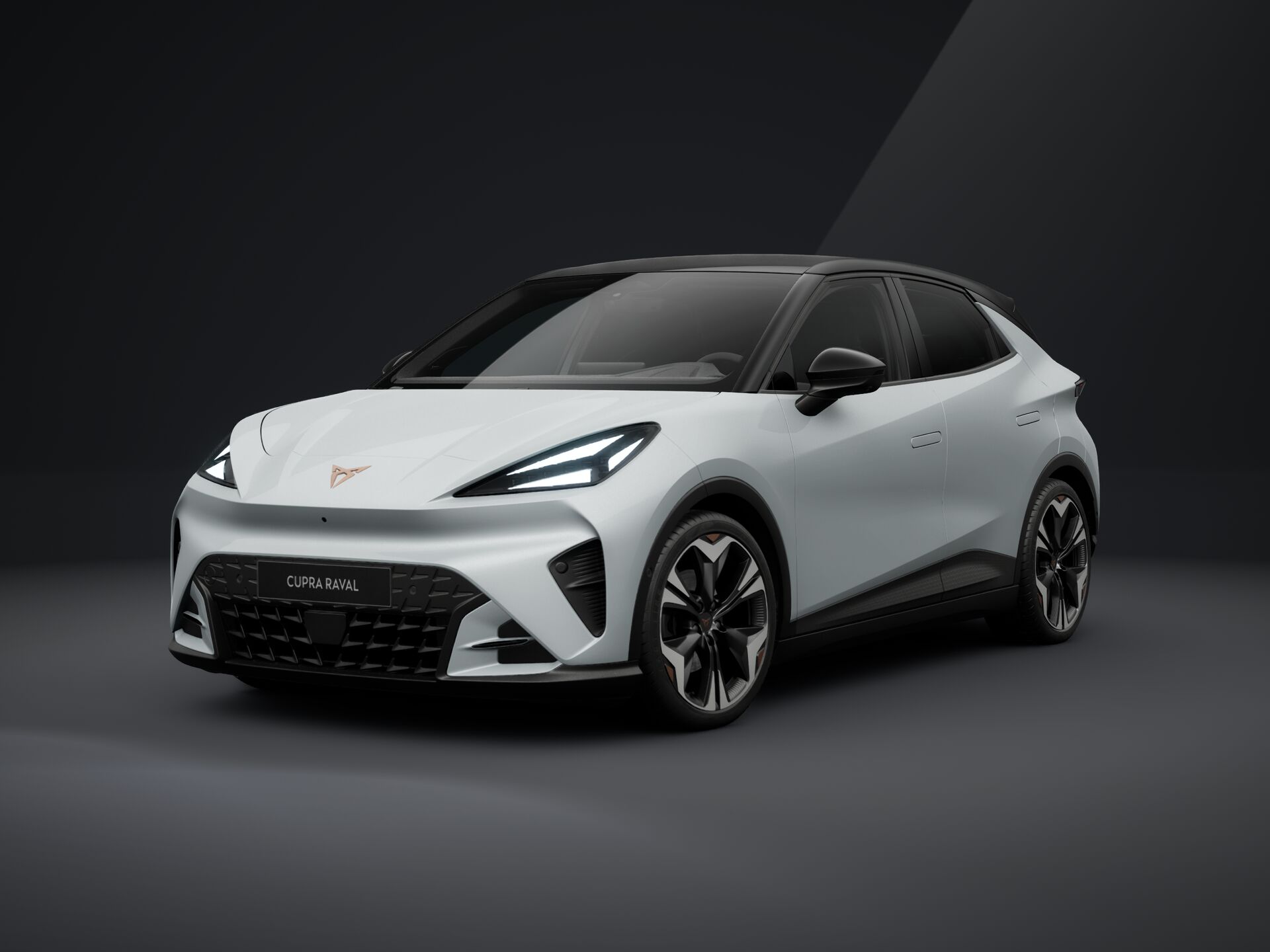 Obrázek Raval PLUS 38,5 kWh/135k