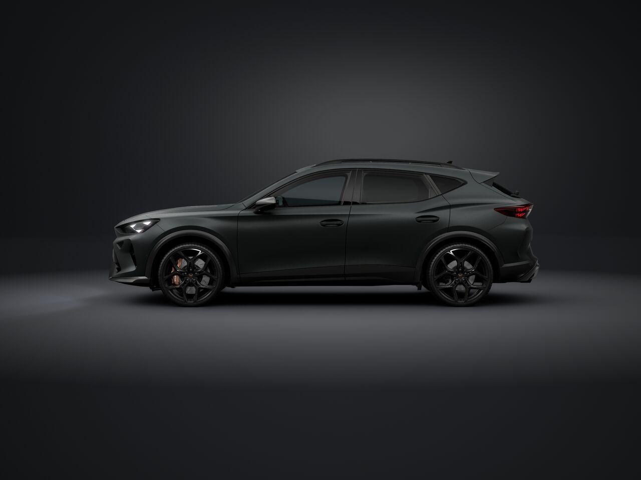 Obrázek Formentor VZ5 2.5 TSI 390k DSG 4WD