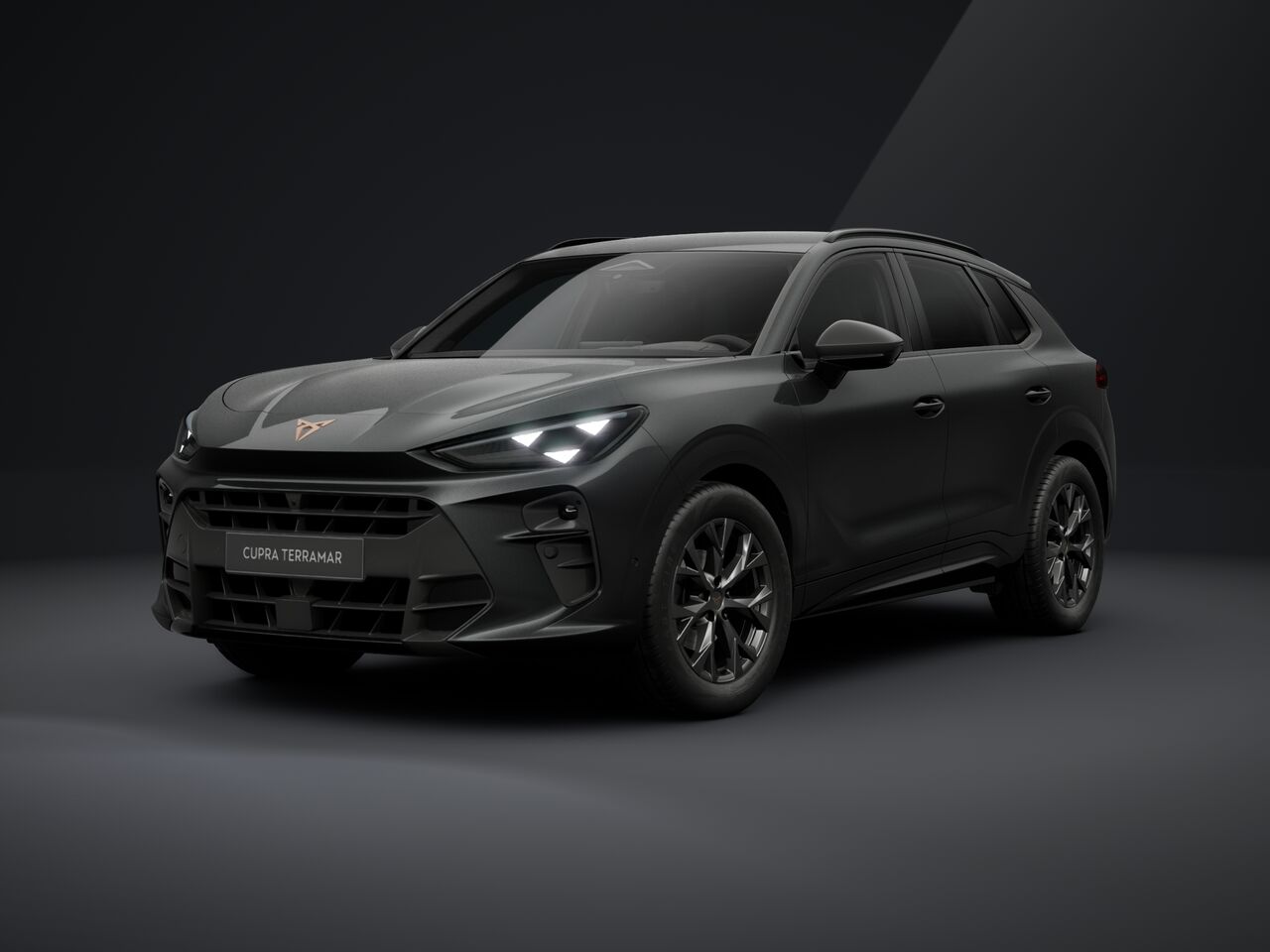 Cupra CUPRA Terramar Terramar 1.5 eTSI 150k DSG