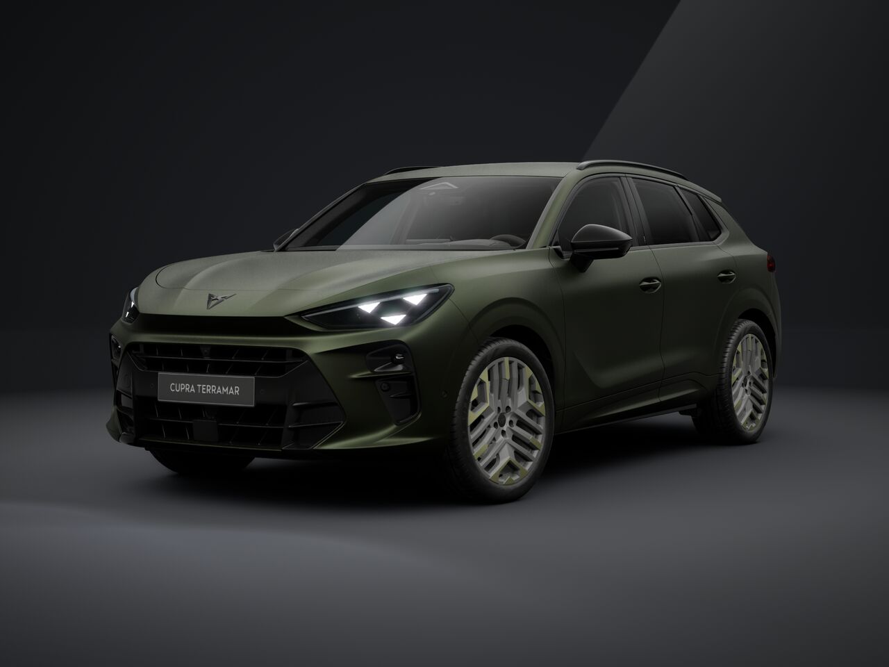 Obrázek Terramar Tribe 2.0 TSI 204k DSG 4WD