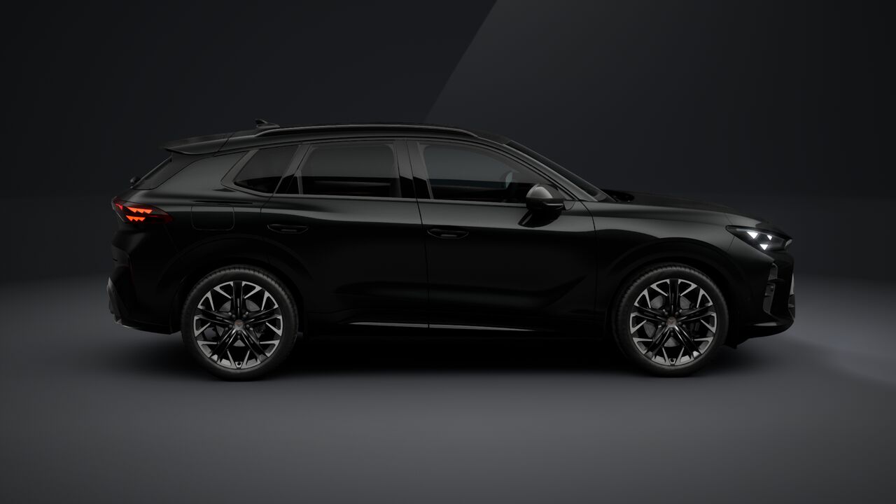 Obrázek Terramar 2.0 TSI 204k DSG 4WD