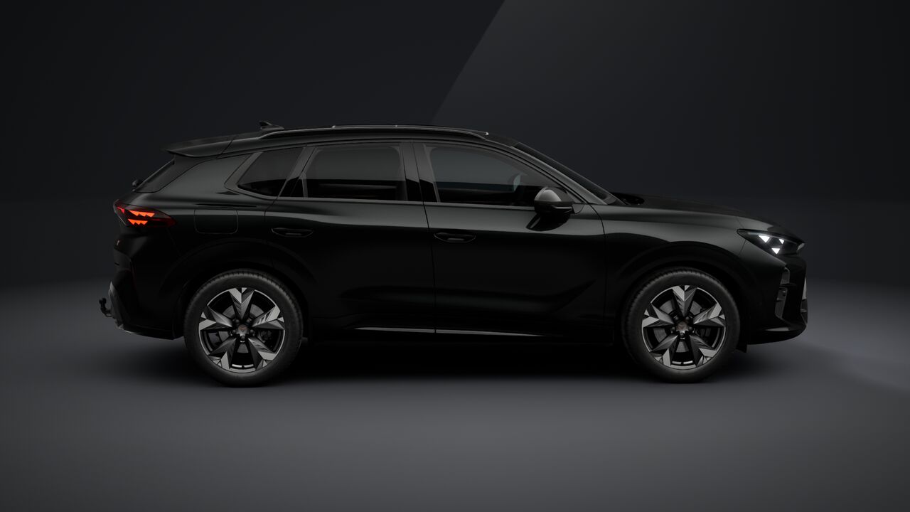 Obrázek Terramar VZ 2.0 TSI 265k DSG 4WD