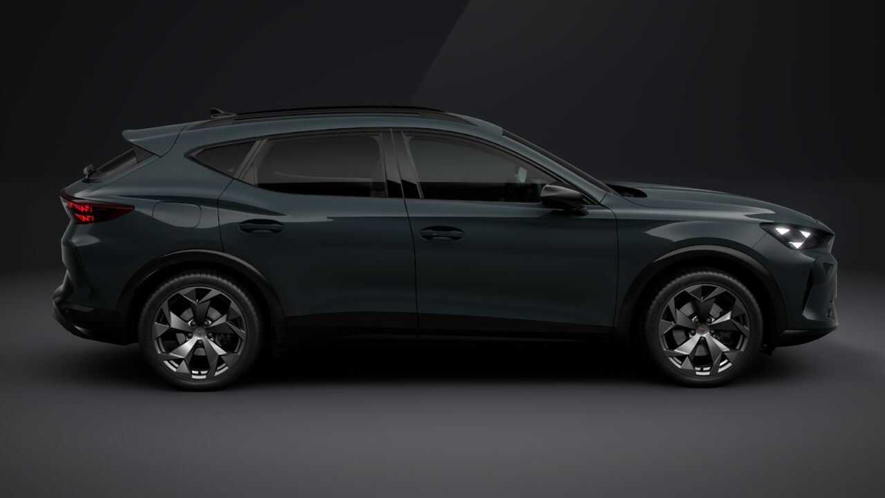 Obrázek Formentor 2.0 TSI 204k DSG 4WD