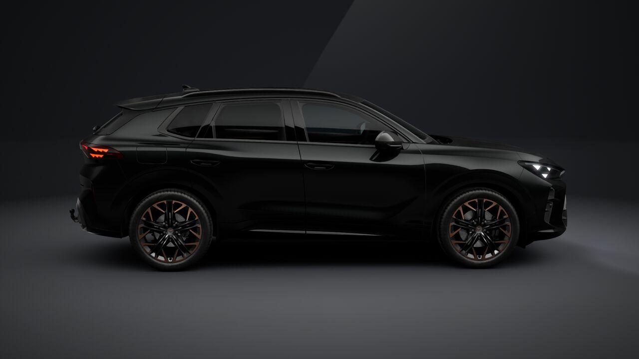 Obrázek Terramar 2.0 TSI 204k DSG 4WD