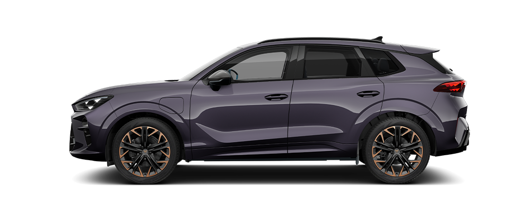 Obrázek CUPRA Terramar
