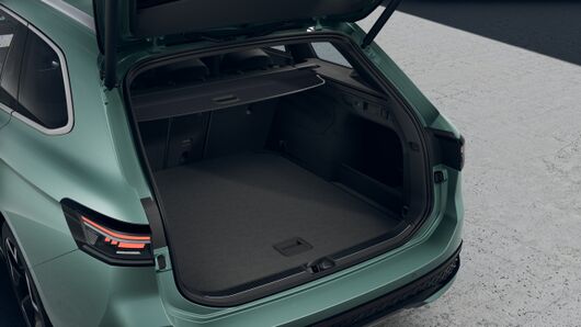 Obrázek Passat R-Line 2,0 TDI 110 kW