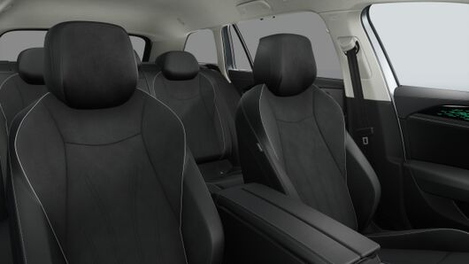 Obrázek Passat Elegance 2,0 TDI 110 kW