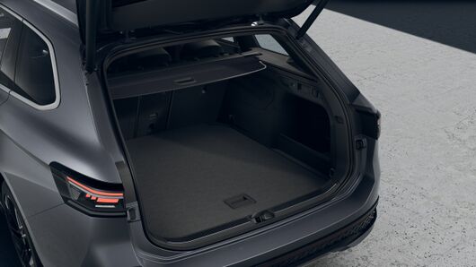 Obrázek Passat R-Line 2,0 TDI 110 kW