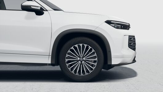 Obrázek Tayron Elegance 2,0 TDI 110 kW