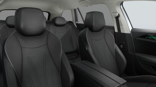 Obrázek Passat Elegance 2,0 TDI 110 kW