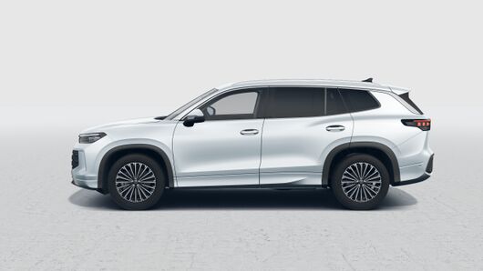 Obrázek Tayron People 2,0 TDI 110 kW