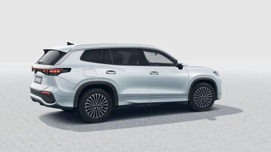 Obrázek Tayron People 2,0 TDI 110 kW