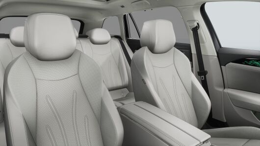 Obrázek Passat Elegance 2,0 TDI 142 kW 4MOT