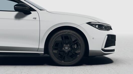 Obrázek Passat R-Line 2,0 TDI 110 kW