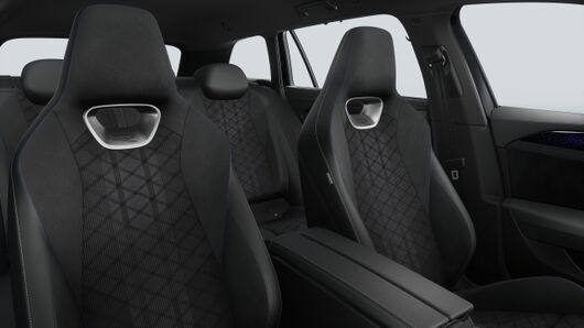 Obrázek Passat R-Line 2,0 TDI 110 kW