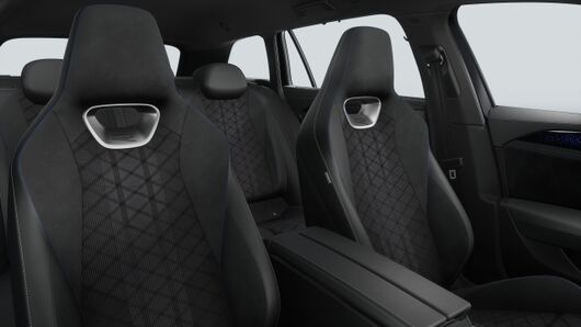 Obrázek Passat R-Line 2,0 TDI 110 kW