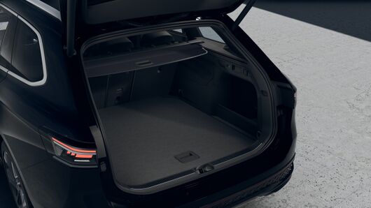 Obrázek Passat R-Line 2,0 TDI 110 kW