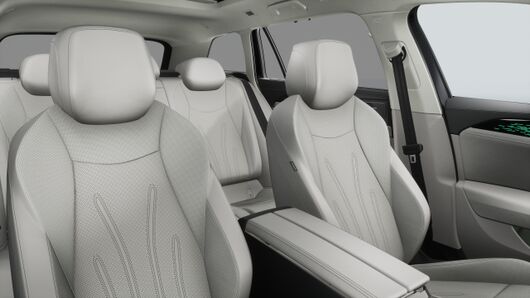 Obrázek Passat Elegance 2,0 TDI 142 kW 4MOT