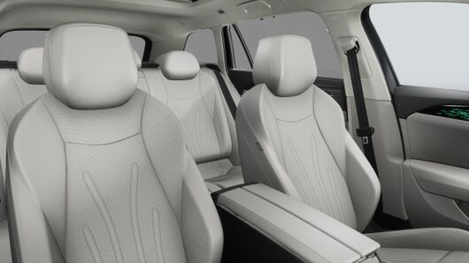 Obrázek Passat Elegance 2,0 TDI 142 kW 4MOT