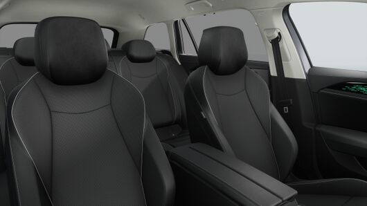 Obrázek Passat Elegance 2,0 TDI 142 kW 4MOT