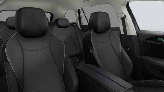 Obrázek Passat Elegance 2,0 TDI 142 kW 4MOT