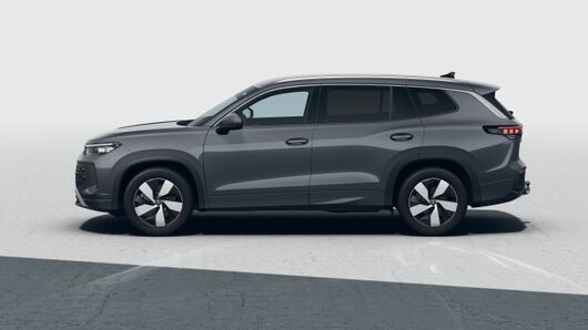 Obrázek Tayron People 2,0 TDI 110 kW