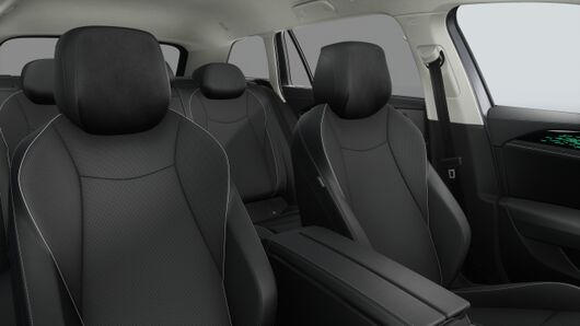 Obrázek Passat Style 2,0 TDI 110 kW