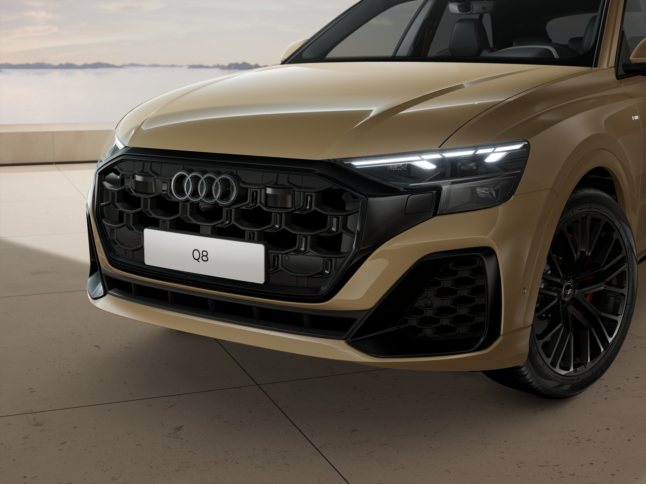 Slika Q8 55TFSIe quattro tip