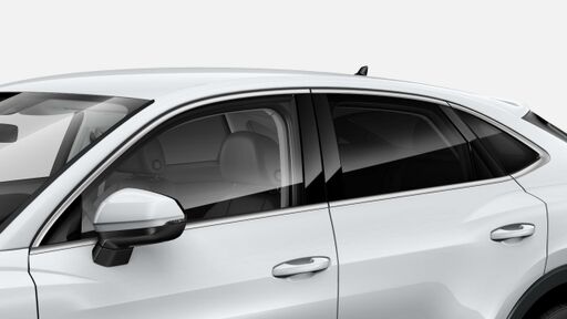 Zatamnjena stakla straga