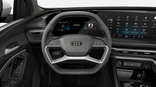 Višenamjenski sportski kožni upravljač s