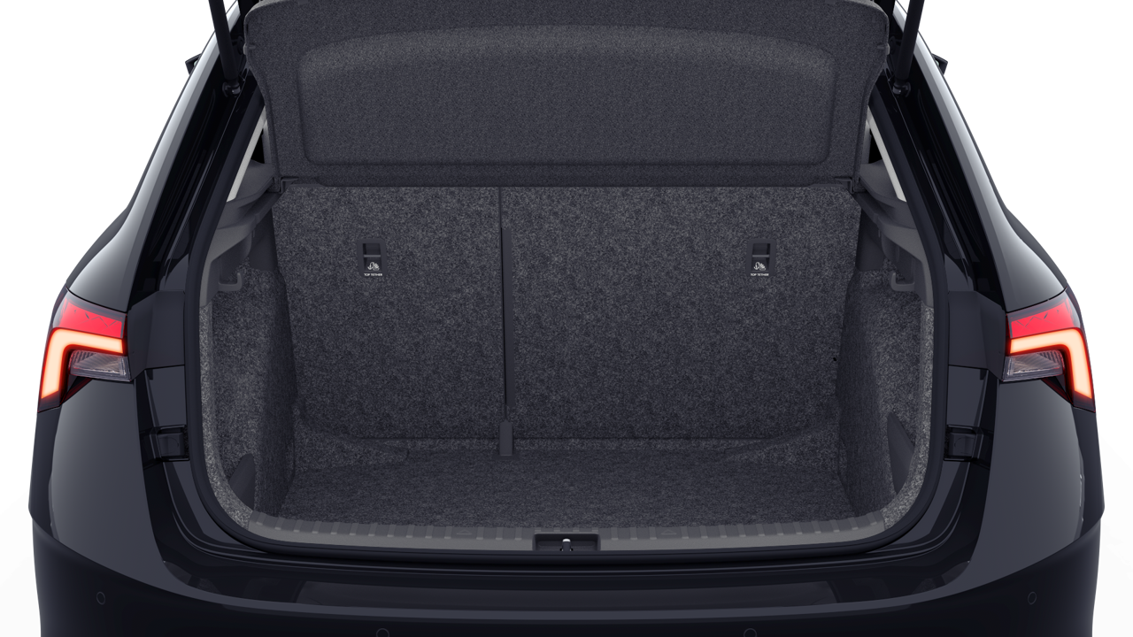 Slika SCALA FL Monte Carlo 1.0 TSI