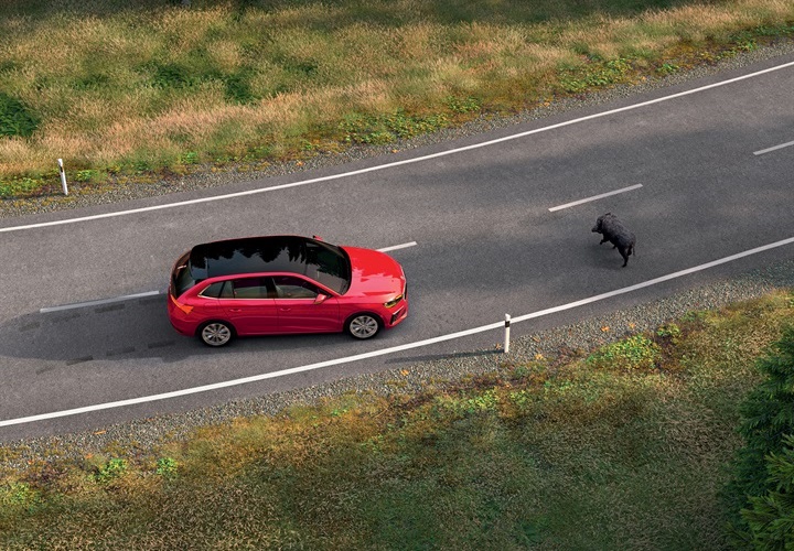 Paket Safety sadrži: