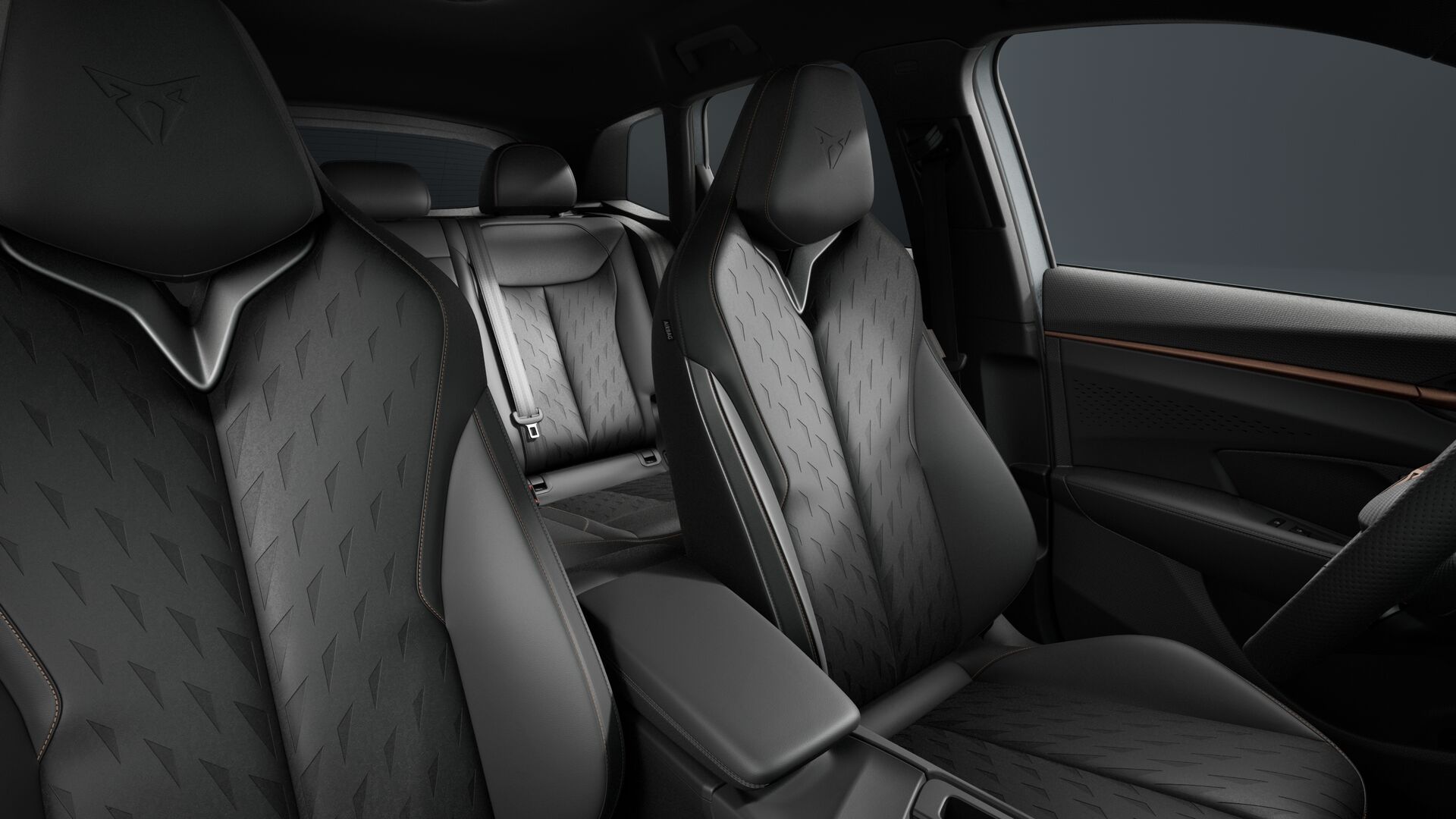 Slika TERRAMAR 2.0 TSI DSG 4Drive