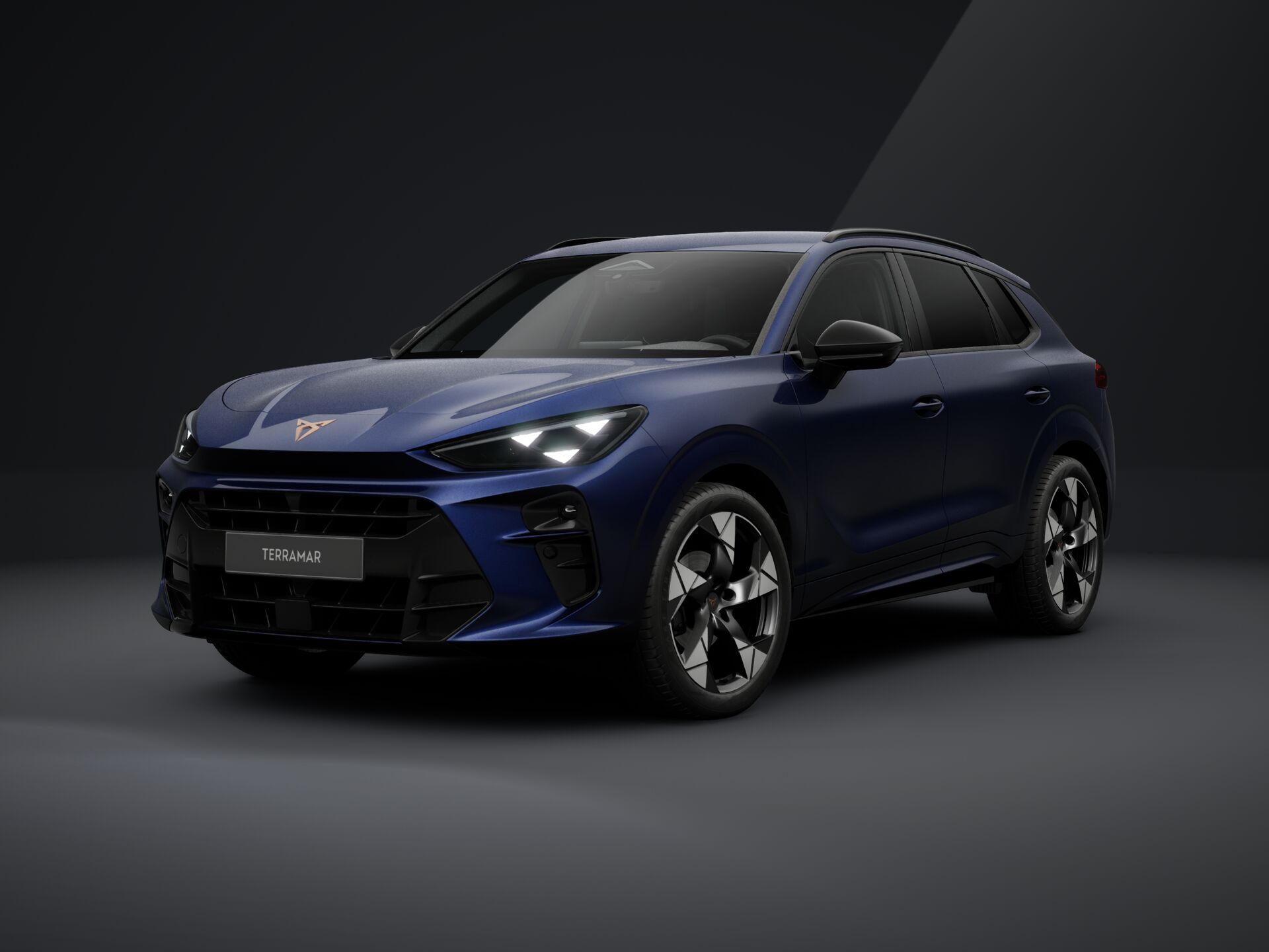 Slika TERRAMAR 1.5 eTSI DSG