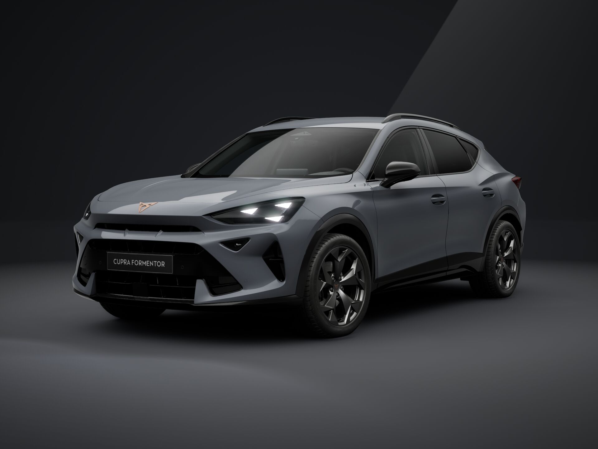 Slika FORMENTOR 2.0 TDI evo DSG