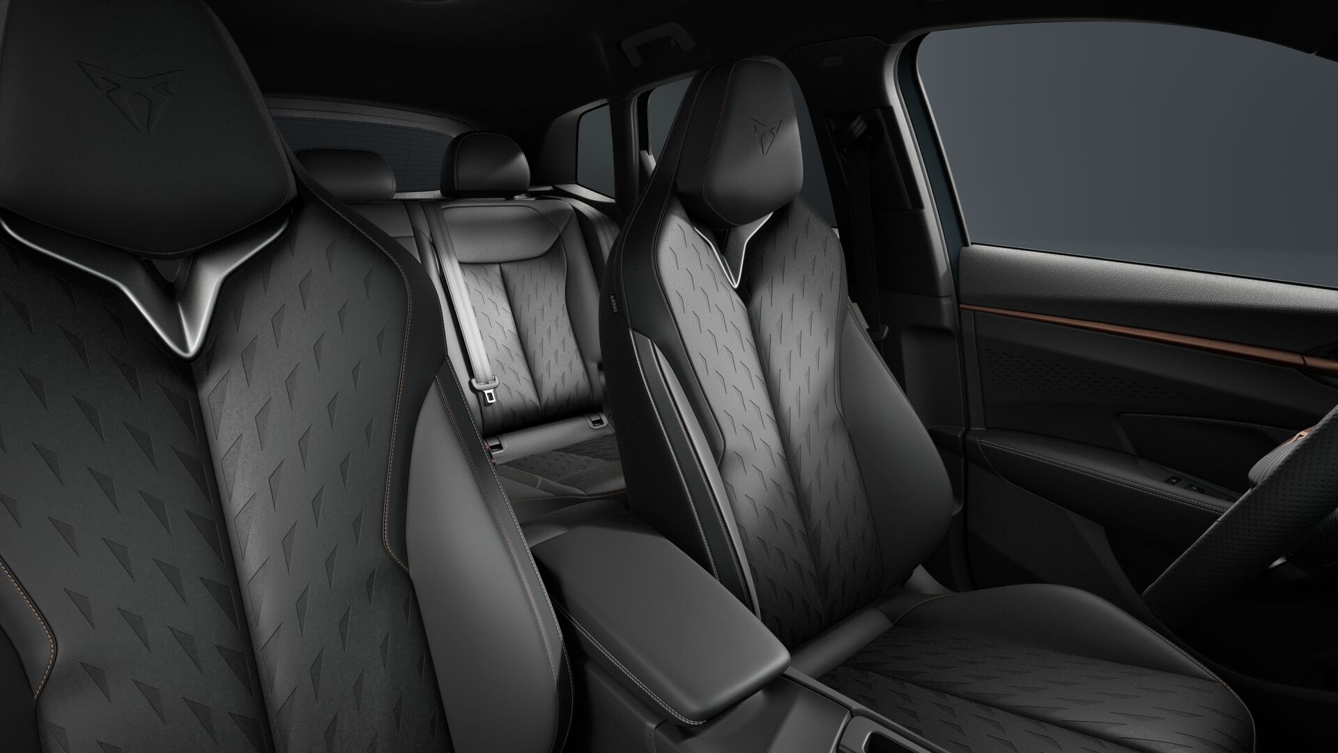 Slika TERRAMAR 2.0 TSI DSG 4Drive