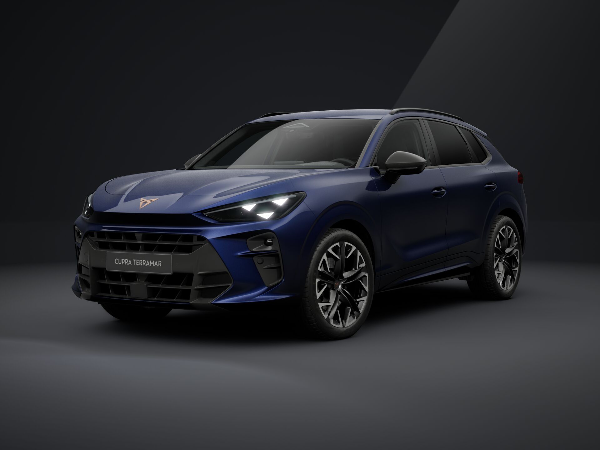 Slika TERRAMAR 2.0 TSI DSG 4Drive