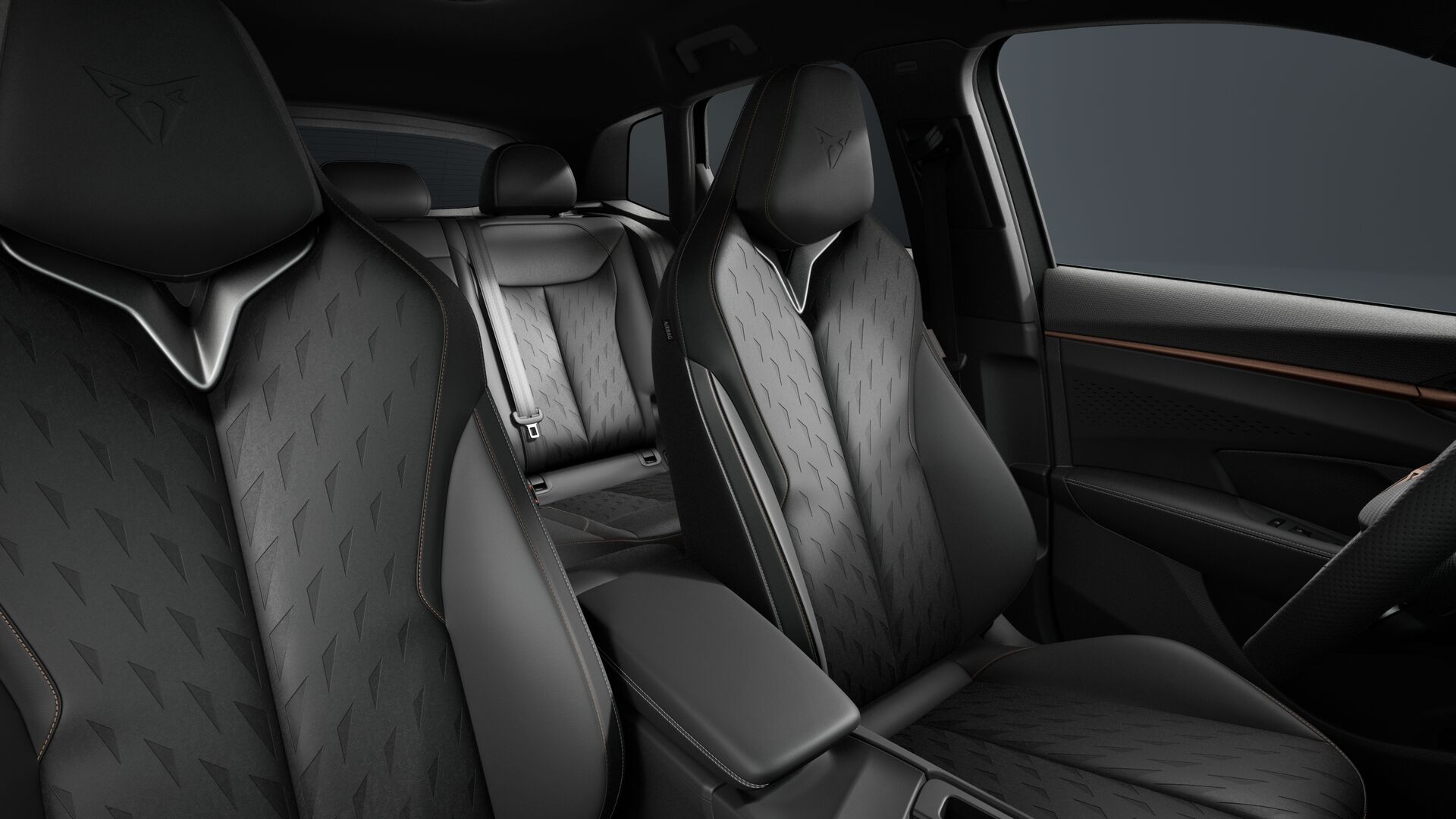 Slika TERRAMAR 2.0 TSI DSG 4Drive