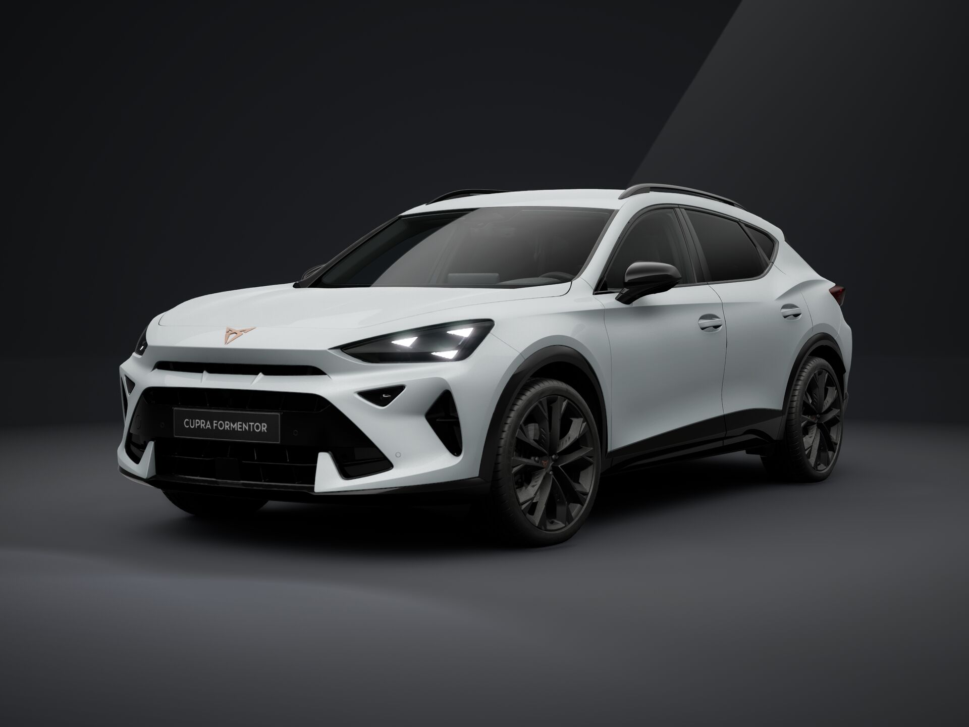 Slika FORMENTOR 2.0 TDI evo DSG