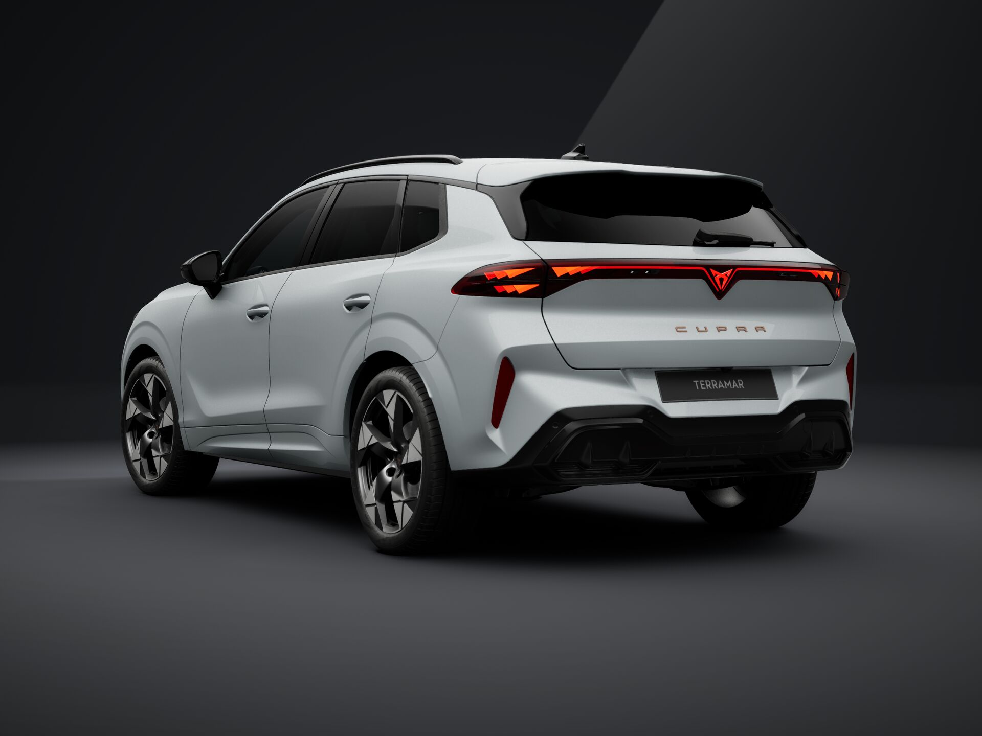 Slika TERRAMAR 1.5 eTSI DSG