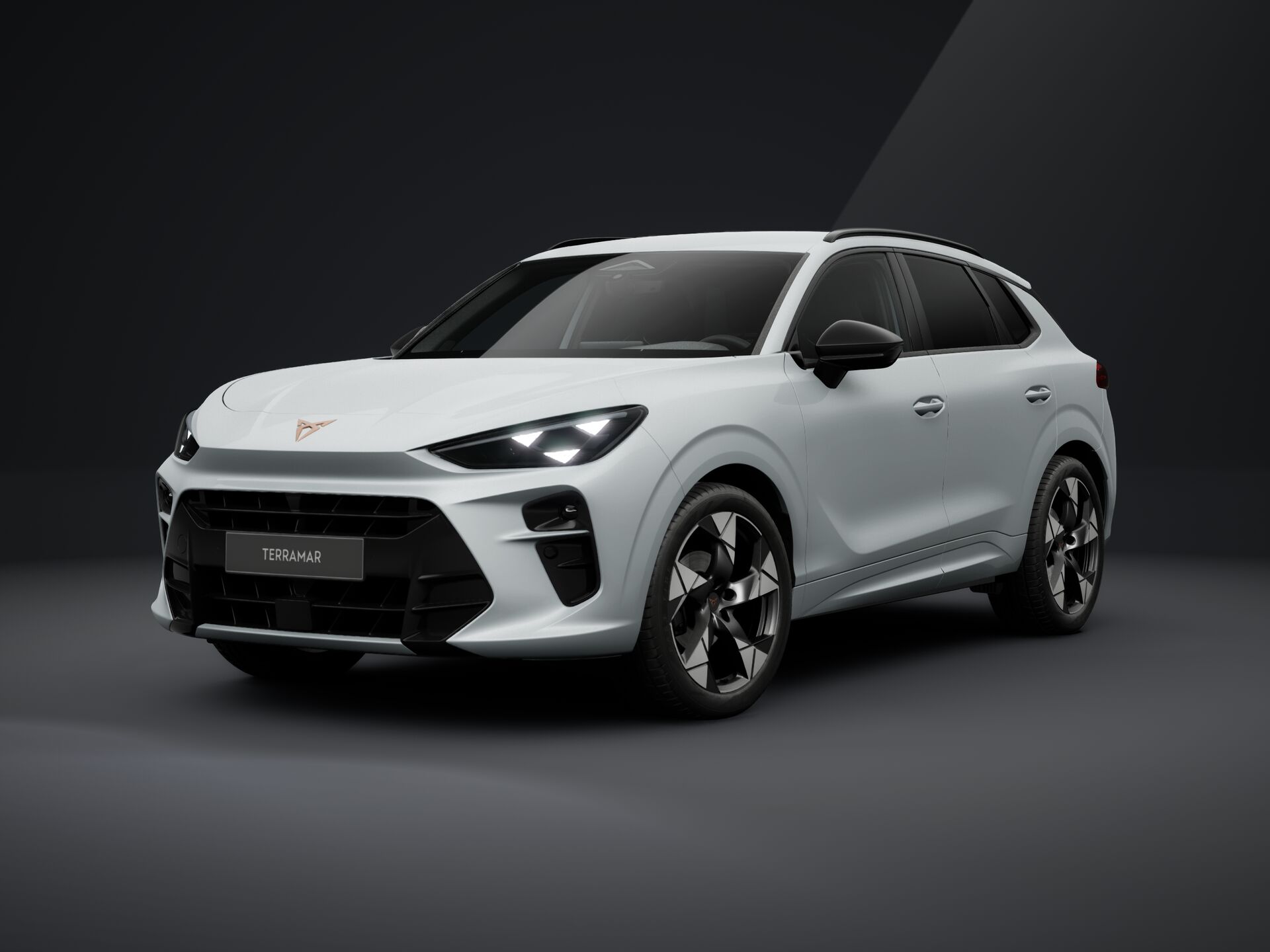 Slika TERRAMAR 1.5 eTSI DSG