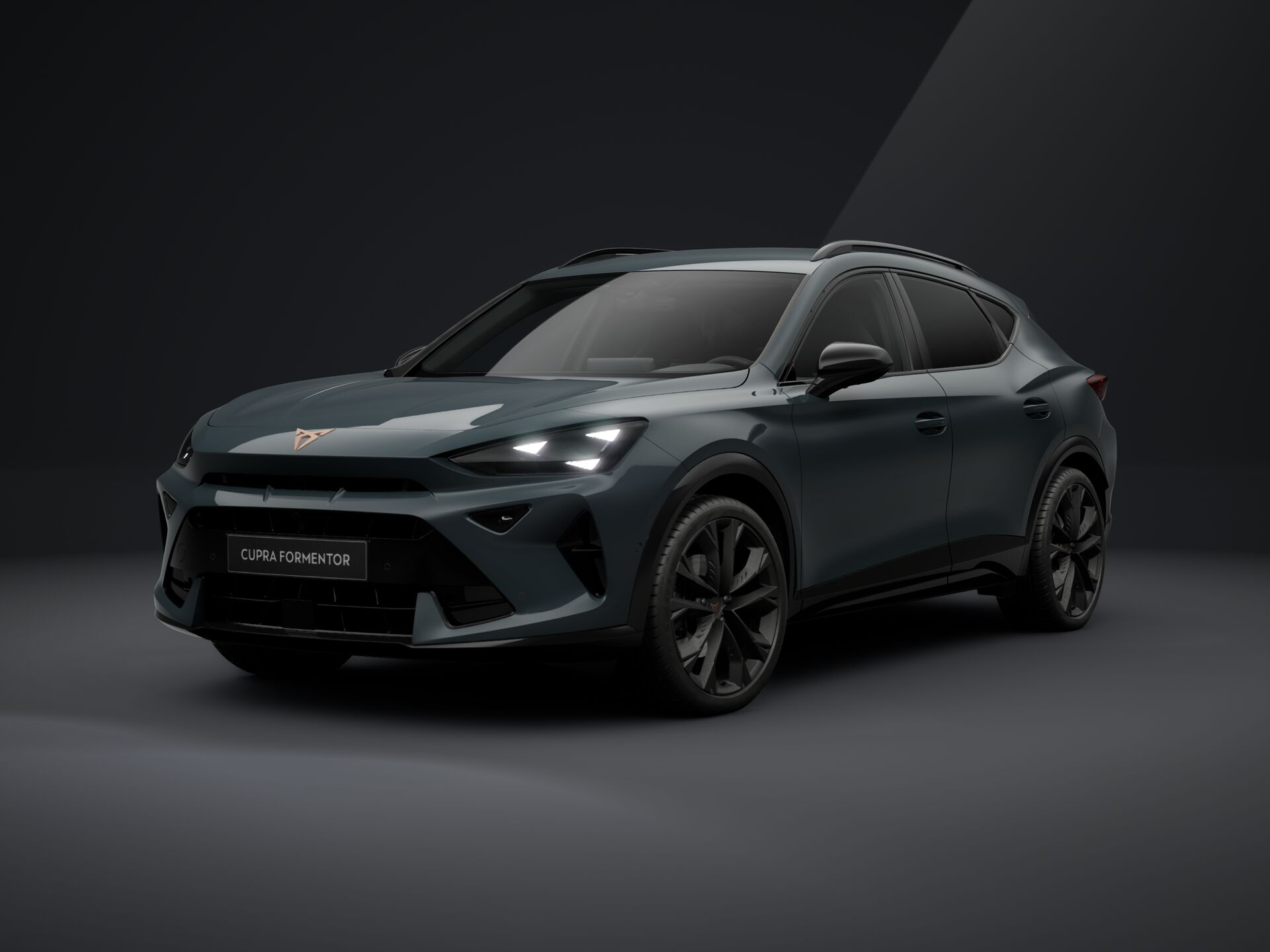Slika FORMENTOR 2.0 TDI evo DSG