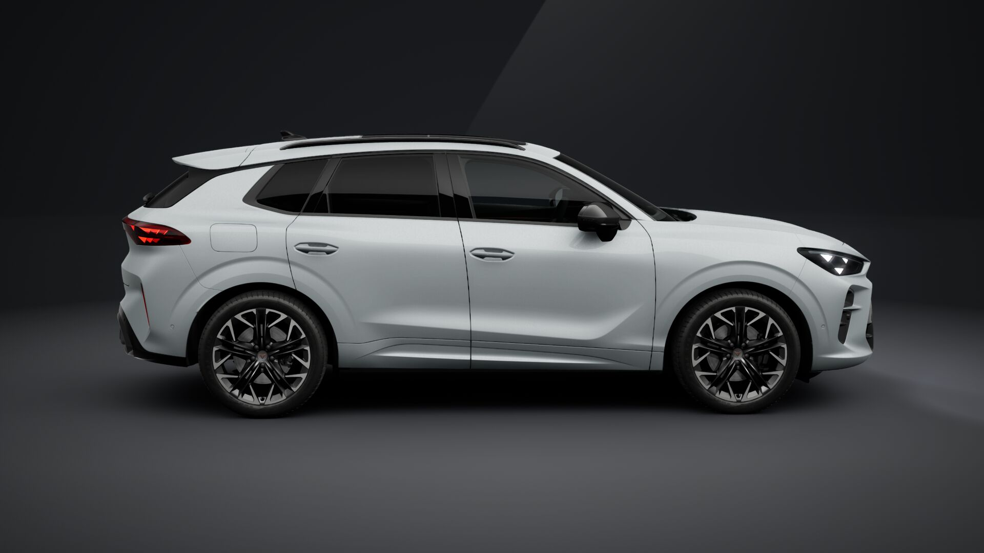 Slika TERRAMAR 2.0 TSI DSG 4Drive