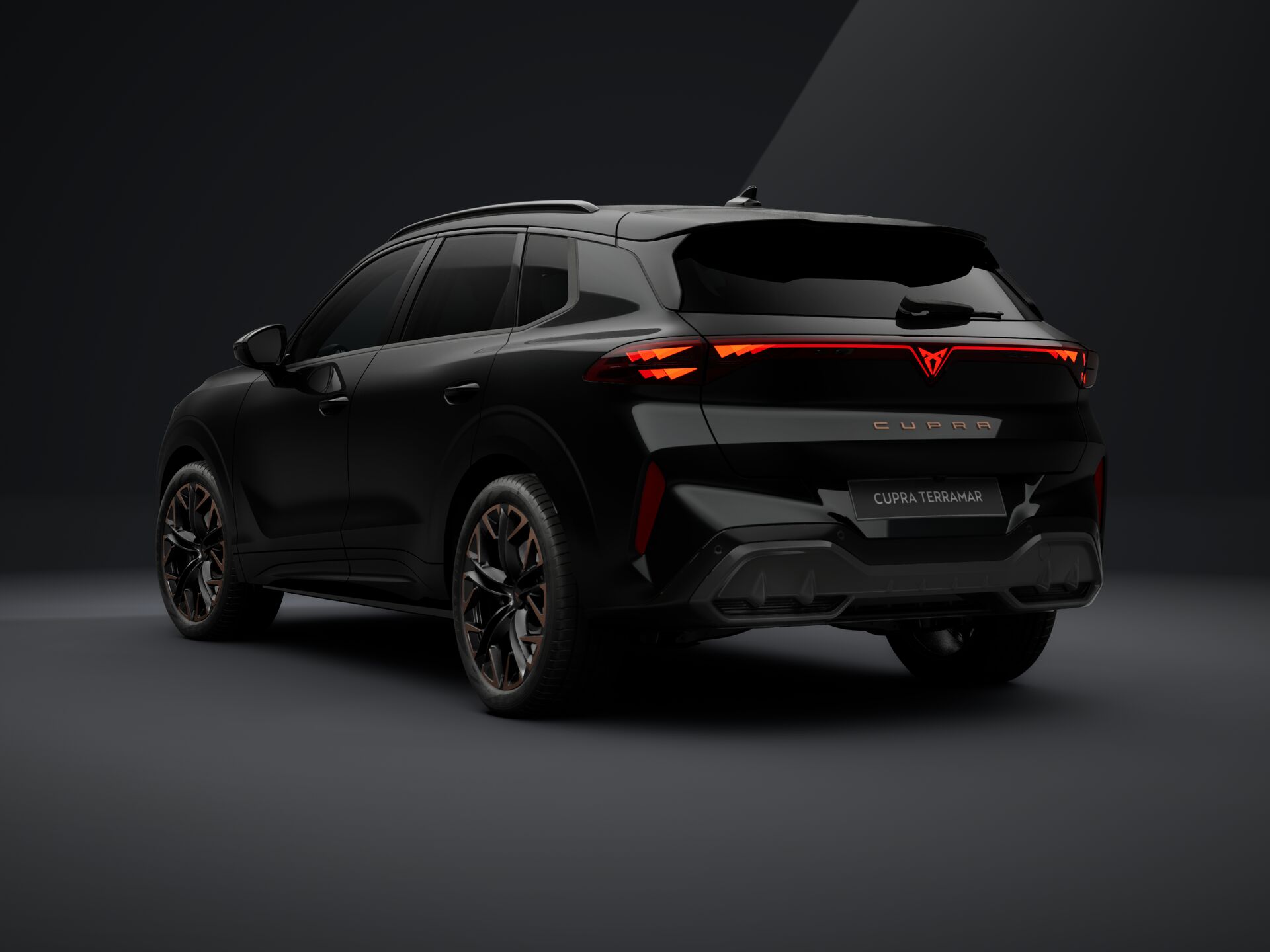 Slika TERRAMAR 2.0 TSI DSG 4Drive