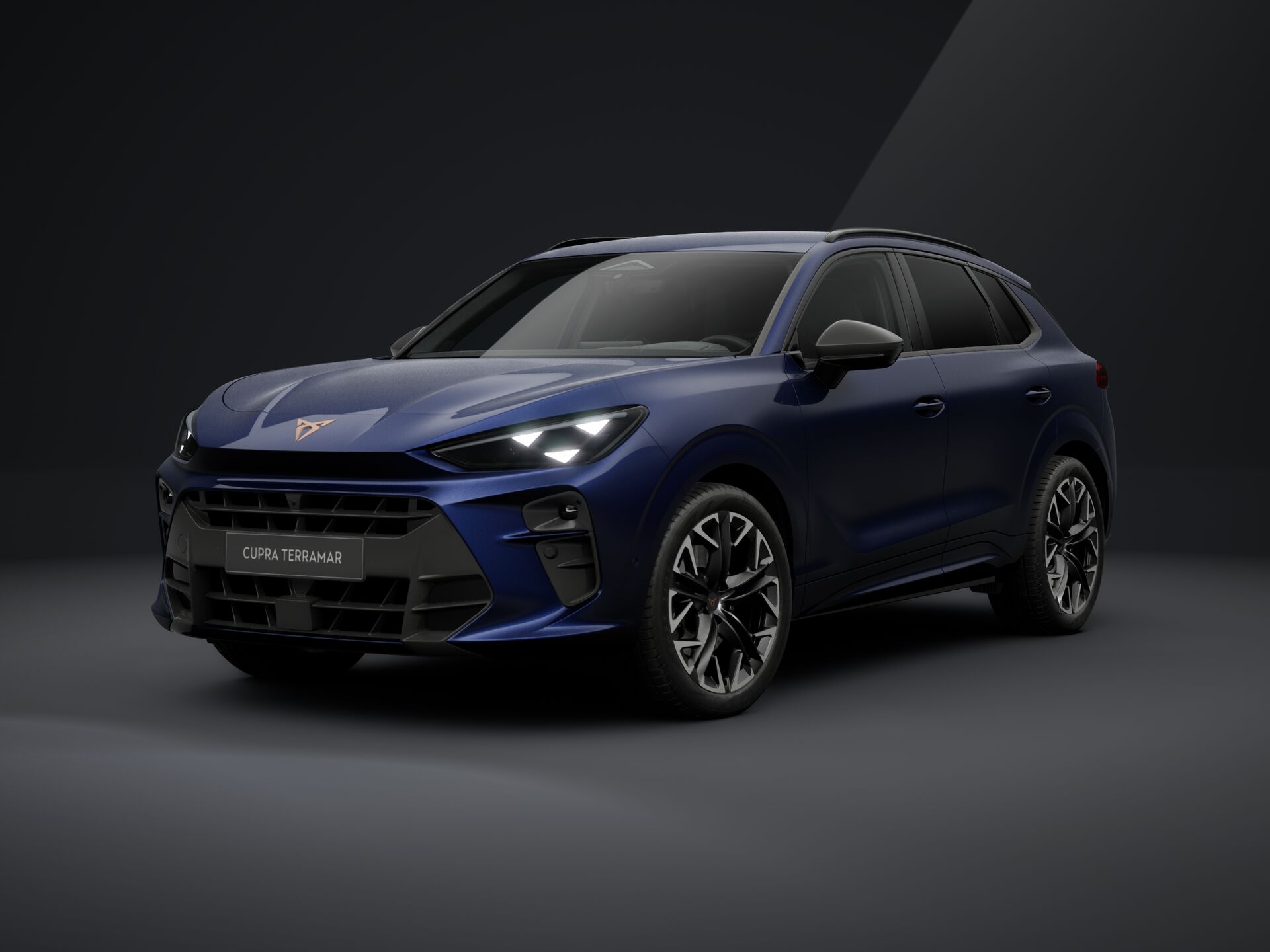 Slika TERRAMAR 2.0 TSI DSG 4Drive